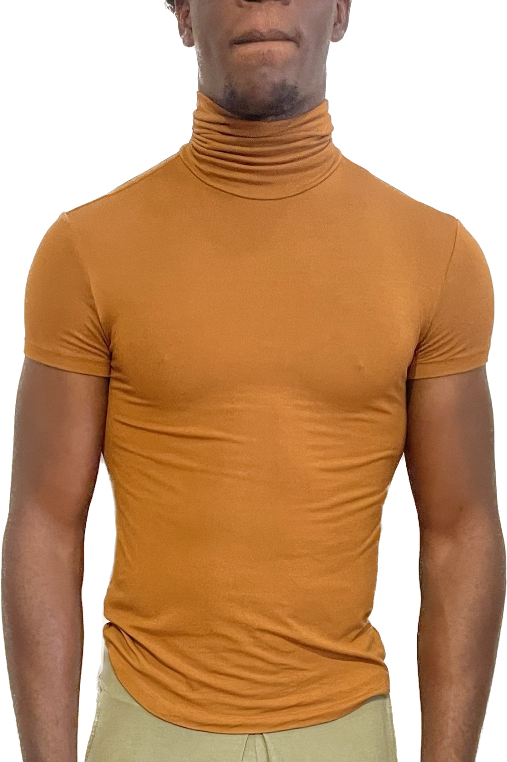 Short Sleeve Turtleneck
