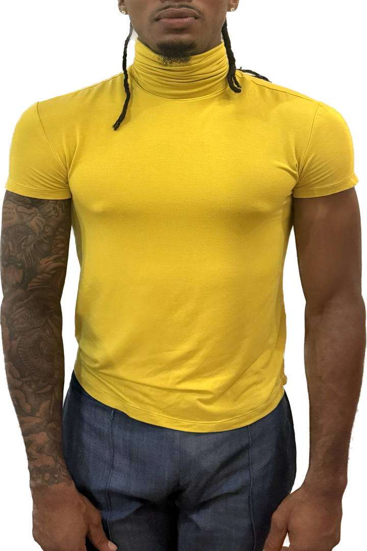 Short Sleeve Turtleneck